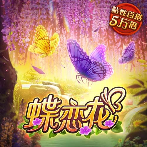 星空下载安装app最新版